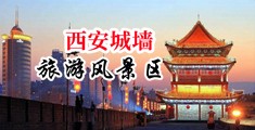美女骚逼逼自慰中国陕西-西安城墙旅游风景区
